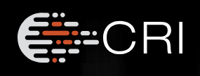 Customer Research International